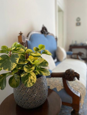 Palazzo Cacace- Luxury Resort
